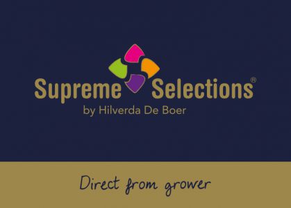supreme-selections-logo